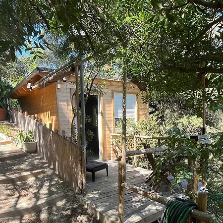 Chalet Dans Les Arbres *