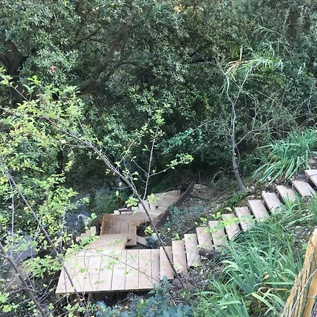 Σαλέ Dans Les Arbres *