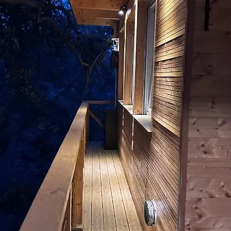 Dans Les Arbres Chalet *