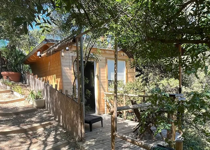 Chalet Dans Les Arbres *